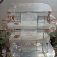 قفس جوندگان|موش و خرگوش|تهران, سازمان برنامه جنوبی|دیوار