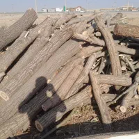 با سلام خرید انواع چوب