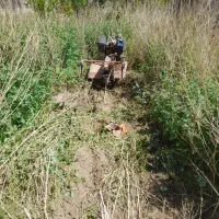 کلیه خدمات باغبانی و کشاورزی|خدمات باغبانی و درختکاری|مشهد, حرم مطهر رضوی|دیوار