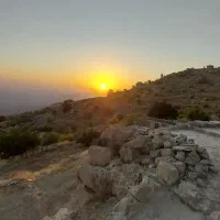 همخونه میخوام