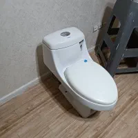 توالت فرنگی