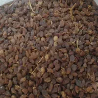 خشکبار|خوردنی و آشامیدنی|سپیدان, |دیوار