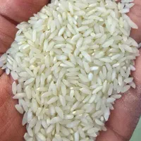 برنج عنبربو(الوان)