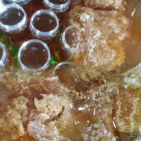 عسل طبیعی کنار و عسل کوهی