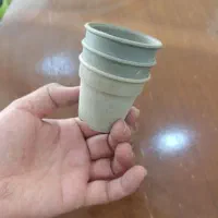 گلدان گلخانه ای مشکی|گل و گیاه طبیعی|قم, هفت تیر|دیوار