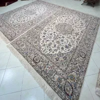 فرش دستبافت اصیل جفت۶متری اردکان قیمت مناسب|فرش|اصفهان, نقش جهان|دیوار