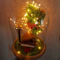 تراریوم.ماکت .هدیه. تولد