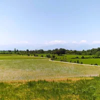 اجاره روزانه ویلا باغ در رشت|اجارهٔ کوتاه‌مدت ویلا و باغ|رشت, بلوار گیلان|دیوار