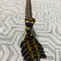 تسبیح هسته خرما