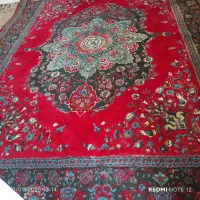 فرش تمیز بدون یه زره نخ زدگی|فرش|آزادشهر, |دیوار