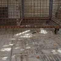 قفس آهنی حیوانات