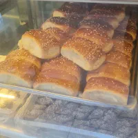 خشکار فردا