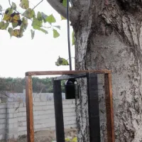 لوستر|لوستر و چراغ آویز|بابلسر, |دیوار