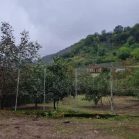 زمین با کاربری مسکونی ۴۰۳متر در نصرت آباد|فروش زمین و ملک کلنگی|حویق, |دیوار