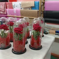 فروش ویژه هدیه روز مادر / گل رز داخل شیشه