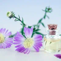 اسانس رازیانه نعنا هل گلاب