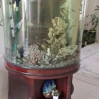 فروش آکواریوم