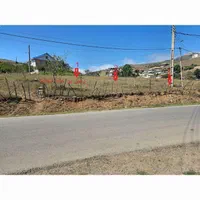 480 متر زمین با کاربری مسکونی و سند تک برگ|فروش زمین و ملک کلنگی|دیلمان, |دیوار