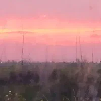 همخانه-گلسار