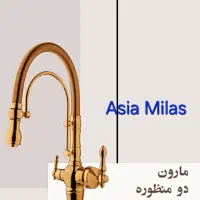 شیرآلات فانتزی تصفیه دار ،علم دوش دو حالته|لوازم سرویس بهداشتی|اهواز, سپیدار|دیوار