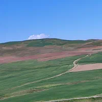 23هکتار 4000باغ انگور بادام 600مت زمین دامداری خون|فروش زمین و ملک کلنگی|ابهر, |دیوار