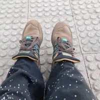 zx اکومت قهوه‌ای|کیف، کفش، کمربند|صباشهر, |دیوار