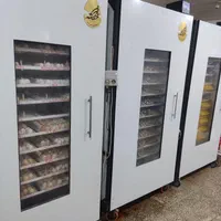 جوجه گیری از تخم پرندگان شما