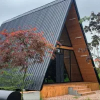 لذت یک سبک مدرن و سنتی