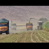 حمل ماسه شن و مخلوط و مصالح ساختمانی|خدمات حمل و نقل|یاسوج, |دیوار