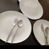 بشقاب برنج خوری ارکوپال