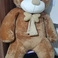 خرس ولنتاین