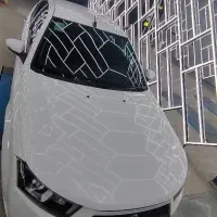 دنا پلاس تیپ ۲