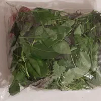 نیازمند نیروی کار