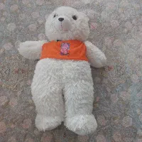 خرس یک متری