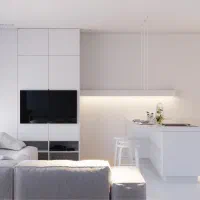 خانم مجرد جهت امور منزل