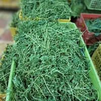 سبزیجات تازه|خوردنی و آشامیدنی|تهران, دیلمان|دیوار
