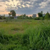 فروش زمین در میانکو محله