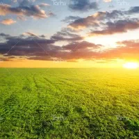 زمین ۵۰۰متری بختیاری ۶