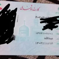 کیف کارت رنگ قهوه ای گم کردم