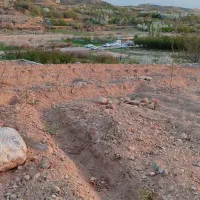 زمین-باغی-بعد-چنار-سوخته