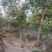 فروش باغ در بافت شهری|فروش خانه و ویلا|اصفهان, بوستان ناژوان|دیوار