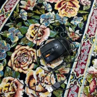 موس و کیبورد