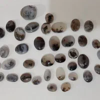 نگین شجر قائن|کلکسیون اشیاء عتیقه|مشگین شهر, |دیوار