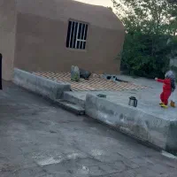 باغچه هزار متری سنددار|فروش زمین و ملک کلنگی|باقرشهر, |دیوار