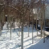 مغازه برای اجاره،داخل محله حاجی اباد