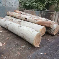 ام دی اف نوپان ضایعات چوب خریداریم آلمینیوم|عمدهفروشی|تهران, آرژانتین|دیوار