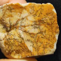 سنگ شجر زیبا