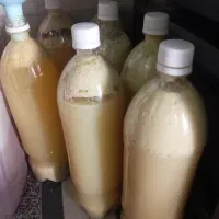 آبلیمو دستی شیشه ۵۵۰ ارسال به سراسر کشور