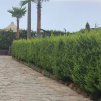 کرایه خانه ویلایی