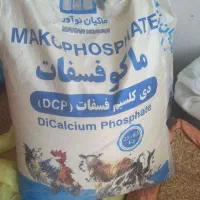 علوفه دام و طیور